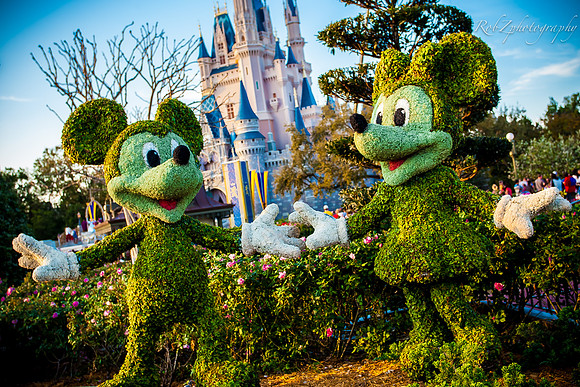 Mickey & Minnie