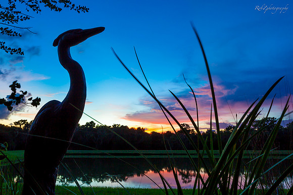 Backyard Sunset
