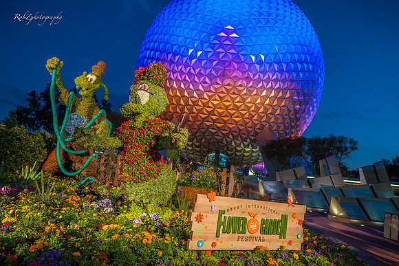 Epcot Sunset Ball